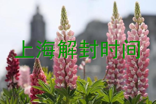 上海5月18日解封 预计上海几号全部降为低风险